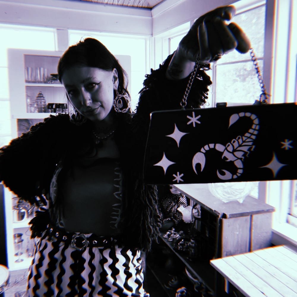 ✺ 𝕾𝖈𝖔𝖗𝖕𝖎𝖔𝖓 𝖕𝖚𝖗𝖘𝖊 ✺ - Picture 5 of 6